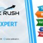 SEO EXPERTS